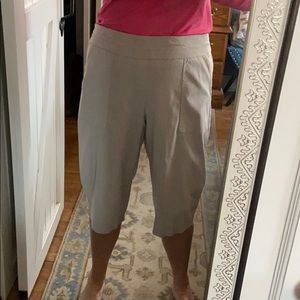 Style & Co Capris SZ XL